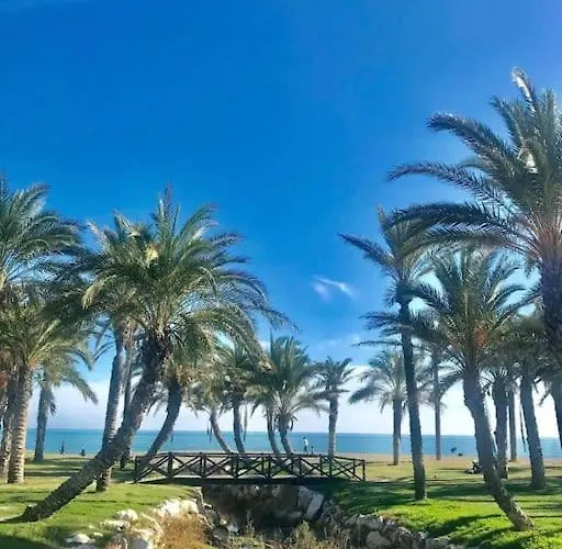 Alamos Malaga Vutma63286 *